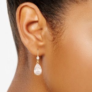 Social Teardrop Earrings